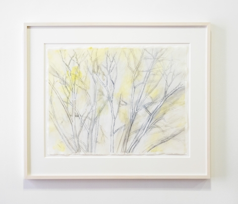 Sylvia Plimack Mangold: Winter Trees